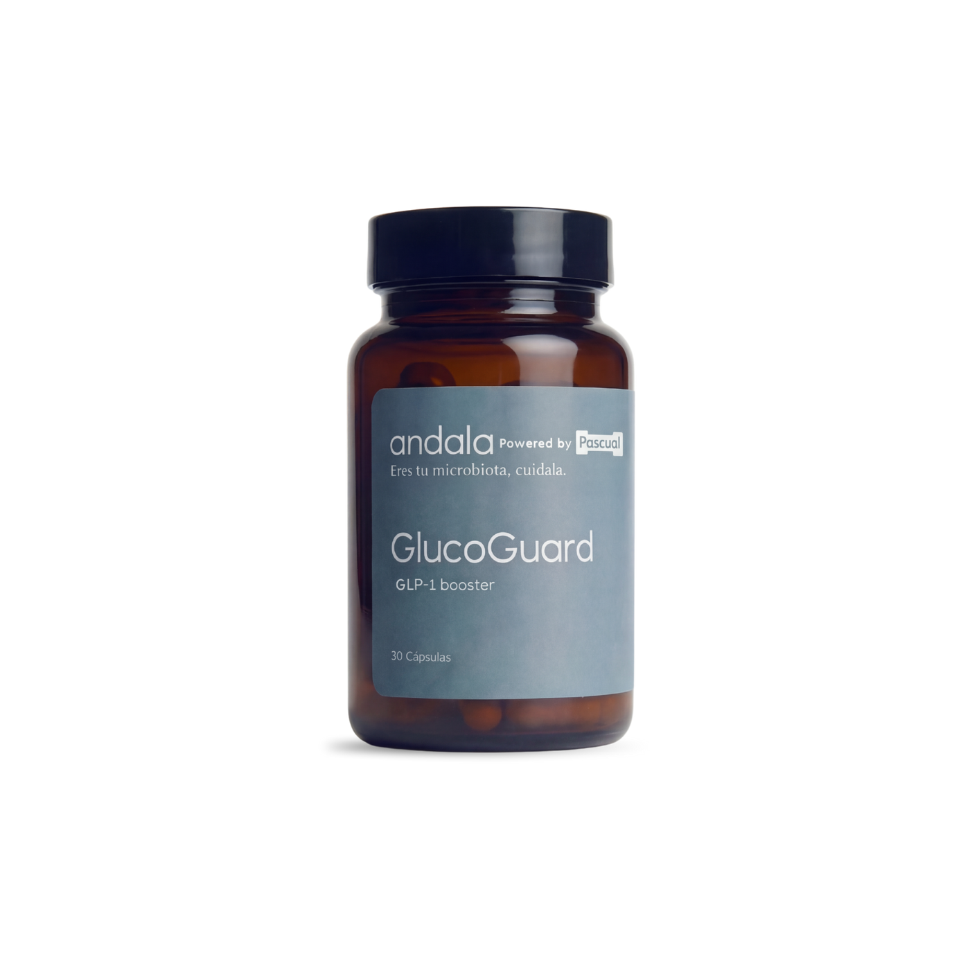 GlucoGuard