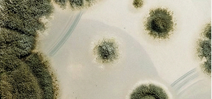 SYNBIO®