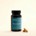 GlucoGuard