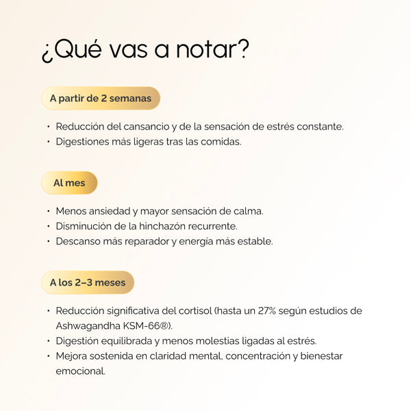 Kit Desinflama y Calma