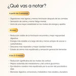 Kit de Bem-Estar Abrangente