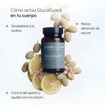 GlucoGuard