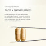 GlucoGuard